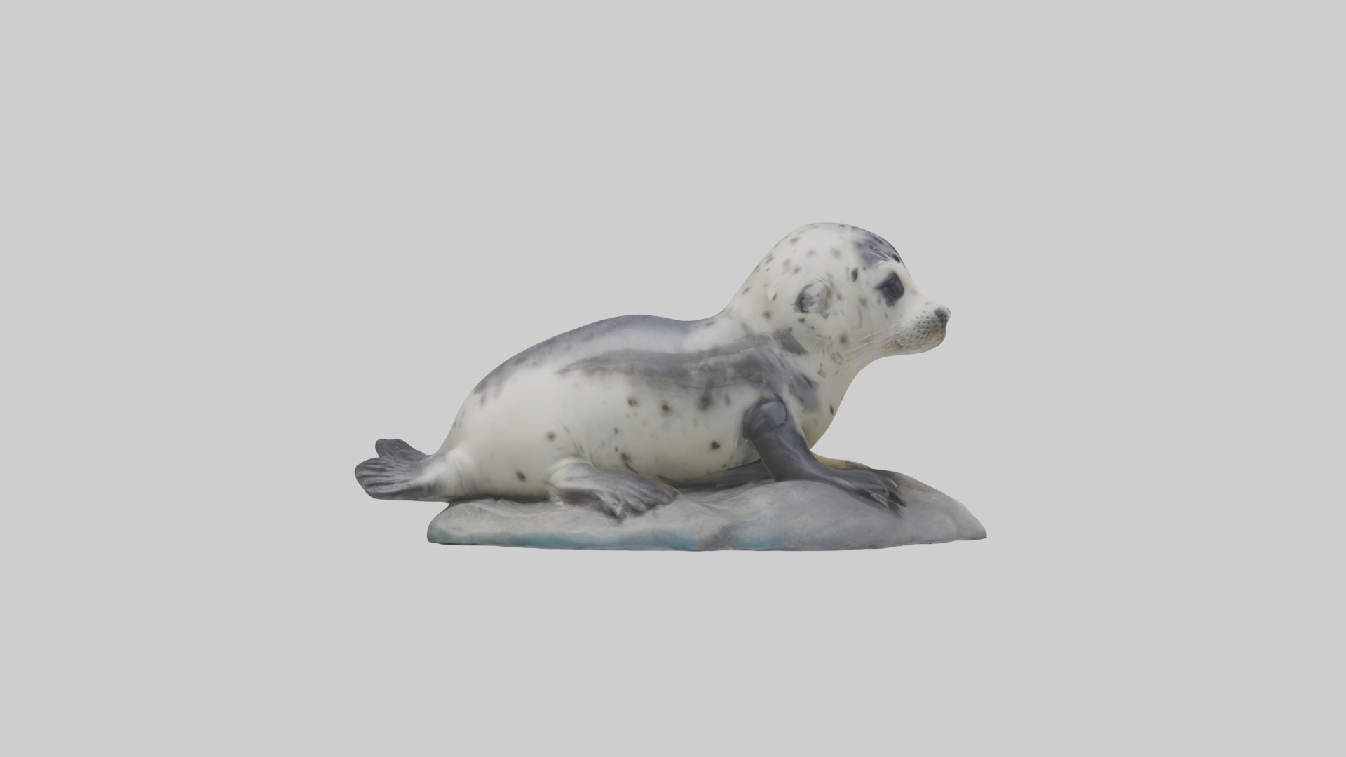 Harbor Seal Pup Model 1 Low-poly 3D model_7