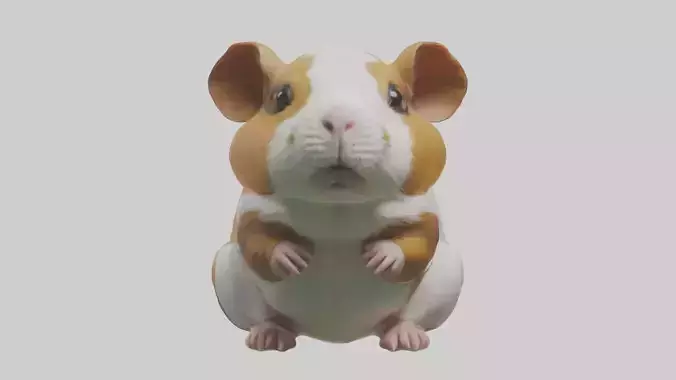 Guinea Pig Model 