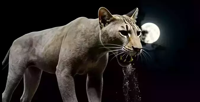 Panthera Low-poly 3D model