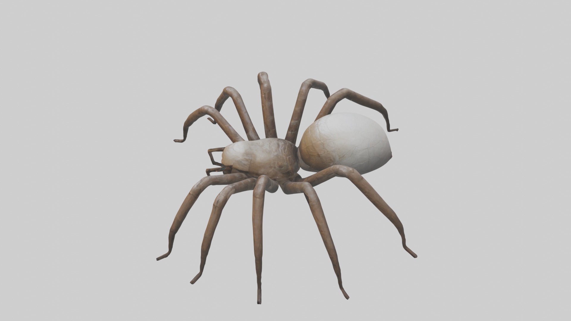 Giantspider Model Low-poly 3D model_11