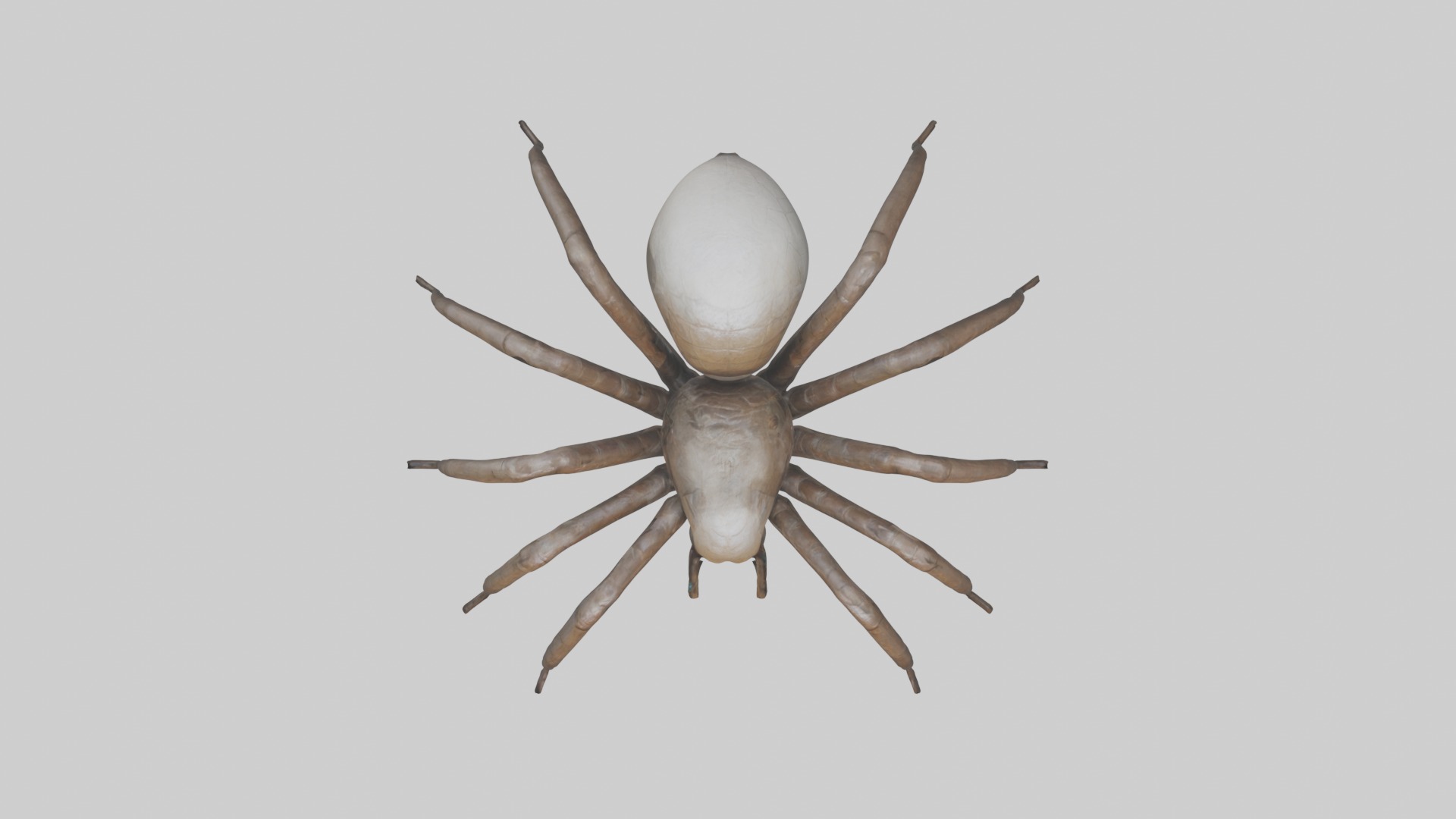 Giantspider Model Low-poly 3D model_8