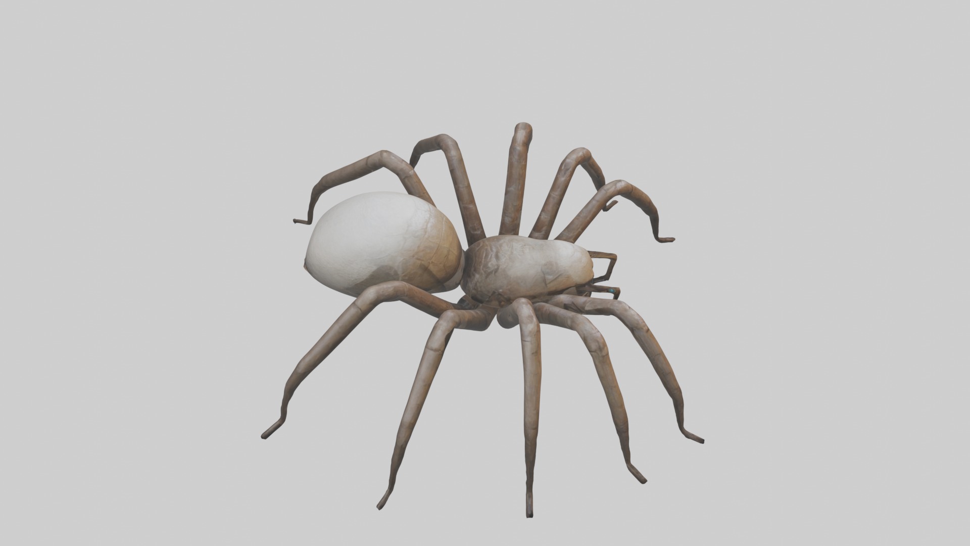 Giantspider Model Low-poly 3D model_12