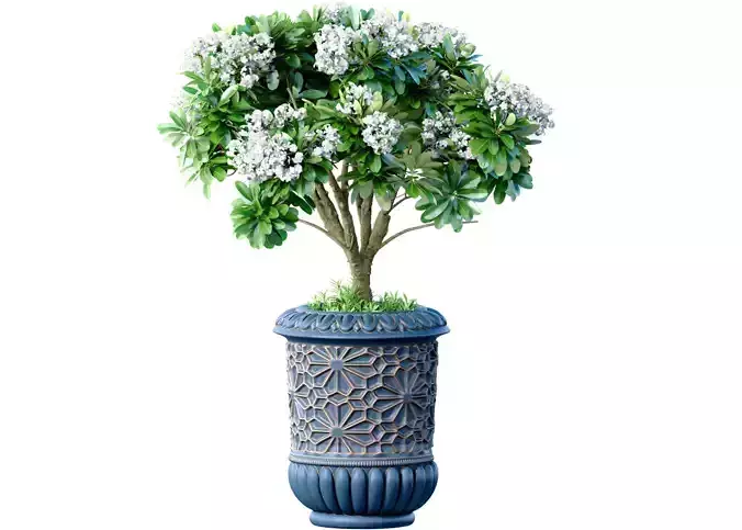 Decorative tree in a luxury Oriental Arabic vase pot