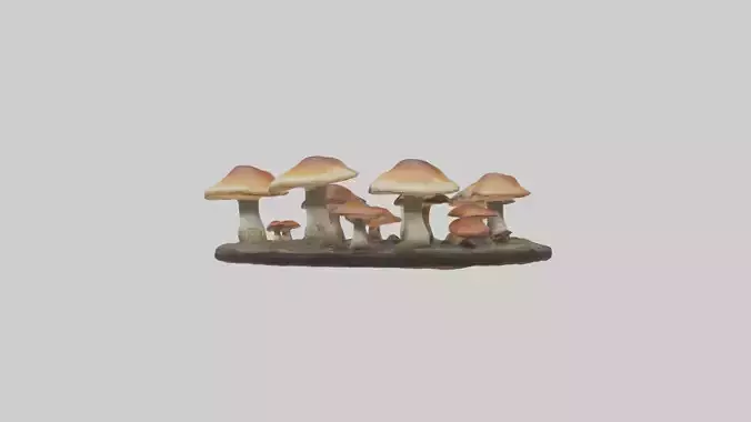 Forestmushroomring 1 Low-poly 3D model