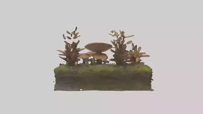 Forestfloor Model