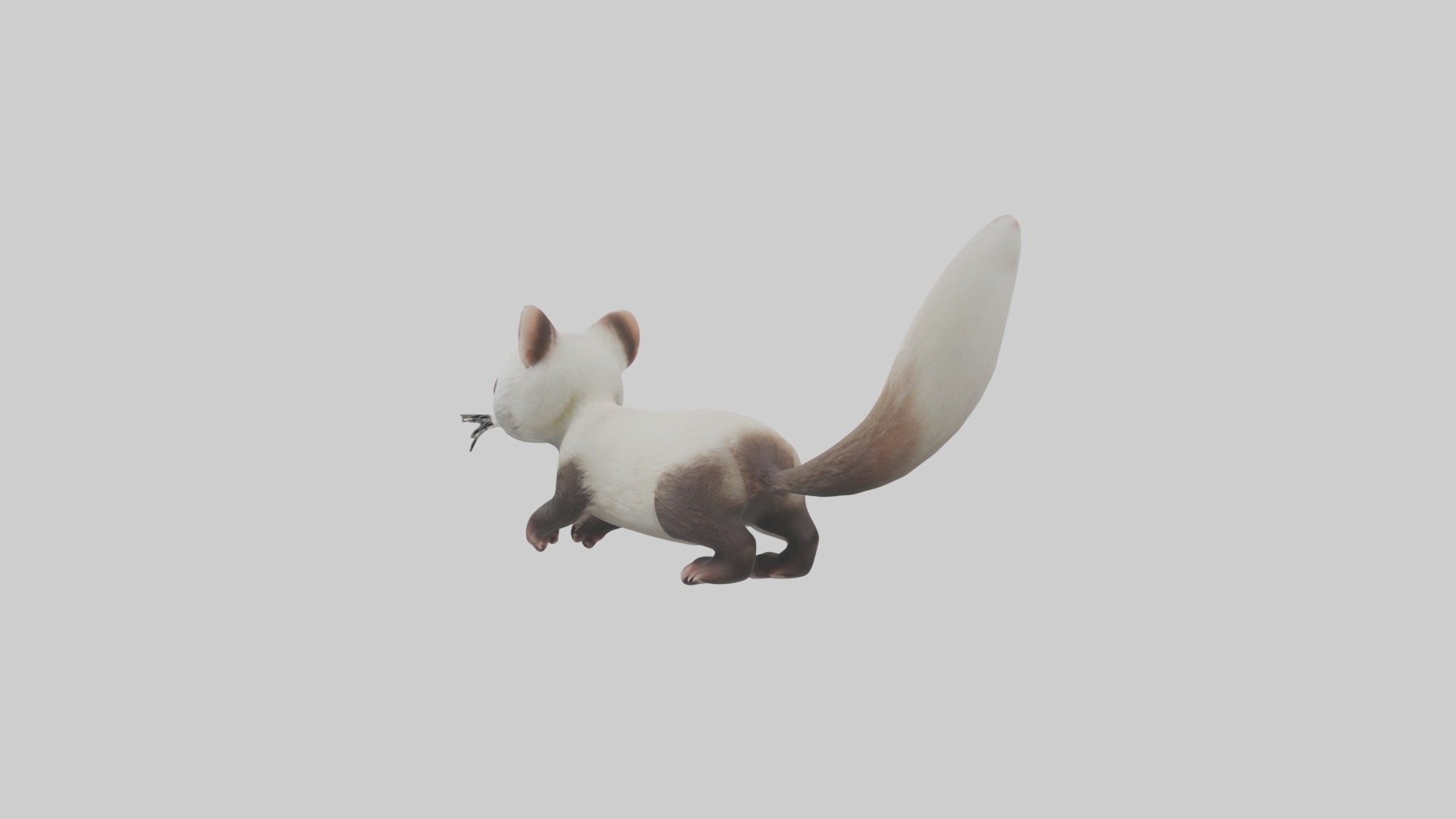 Ferret Model 1 Low-poly 3D model_2