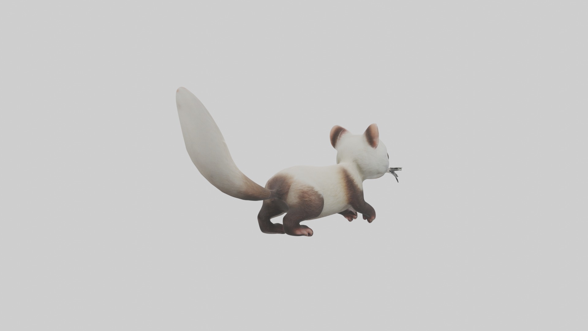 Ferret Model 1 Low-poly 3D model_3