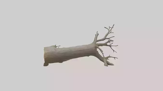 Fallentree Model