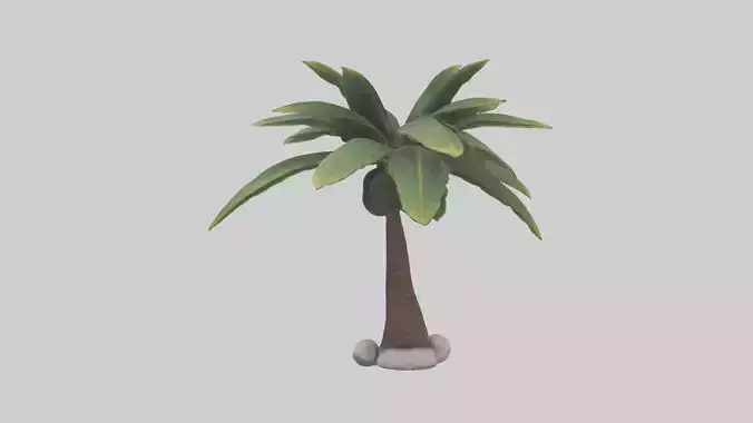 Dwarfpalm Model