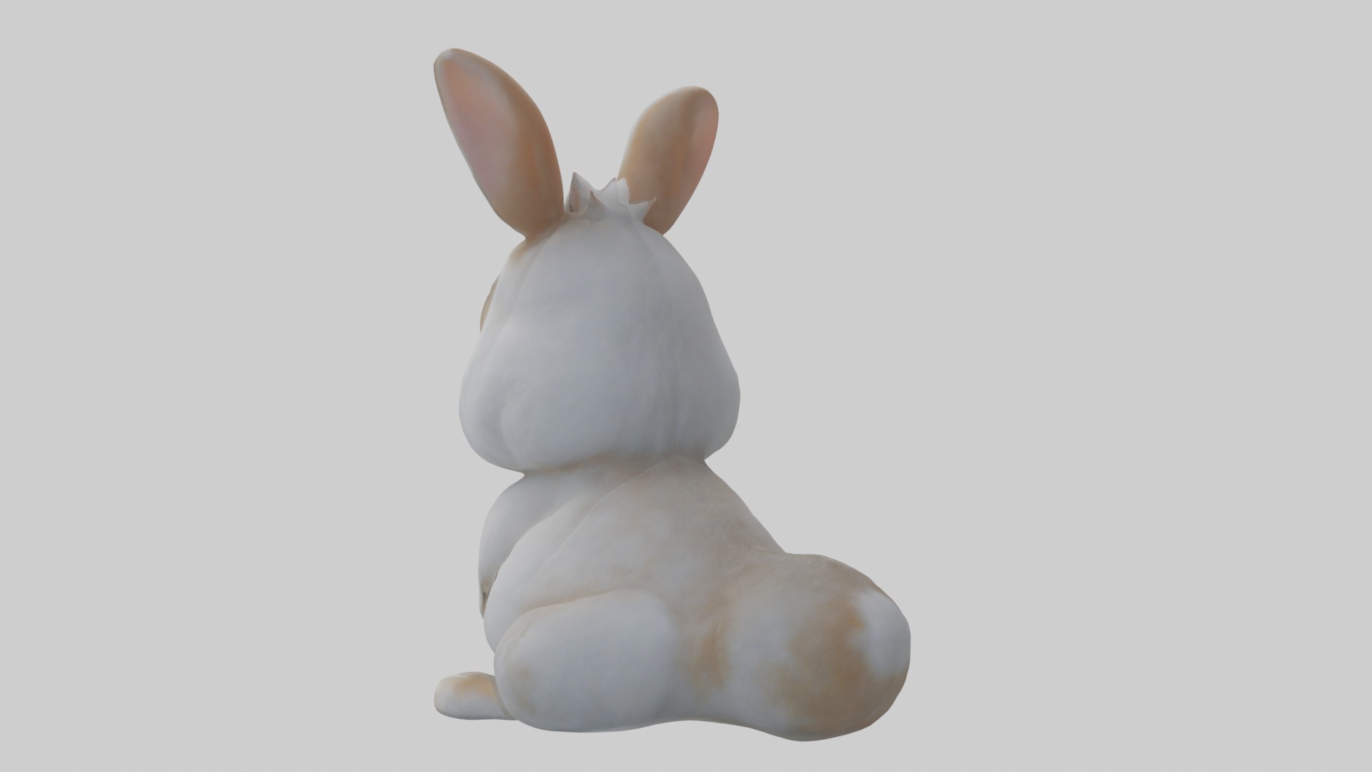 Dwarf Rabbit Model 1 Low-poly 3D model_2