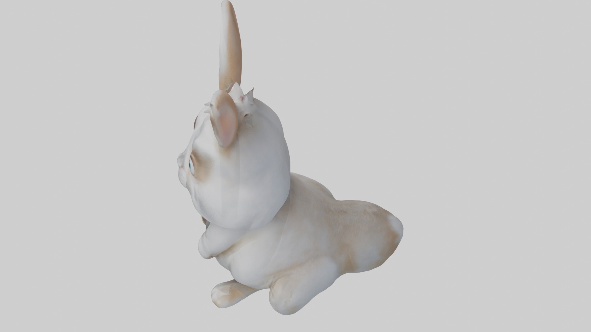 Dwarf Rabbit Model 1 Low-poly 3D model_11