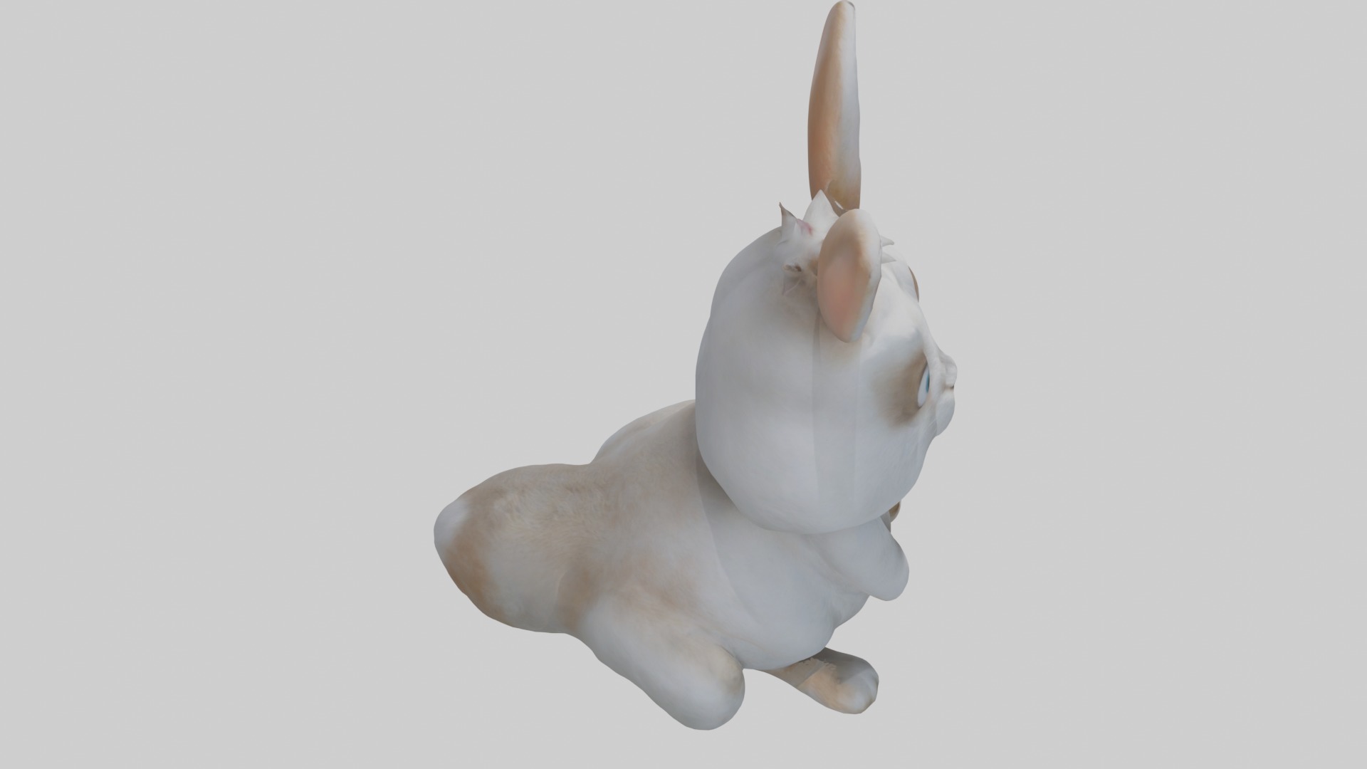 Dwarf Rabbit Model 1 Low-poly 3D model_12
