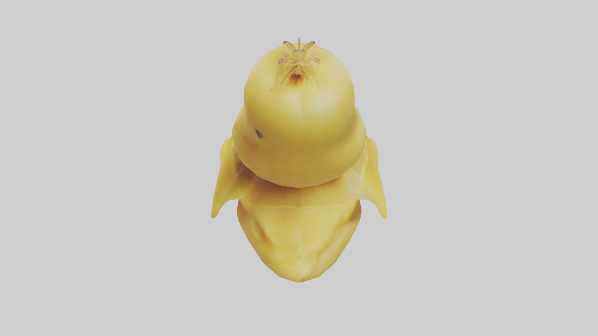 Duckling Model 1 Low-poly 3D model_9