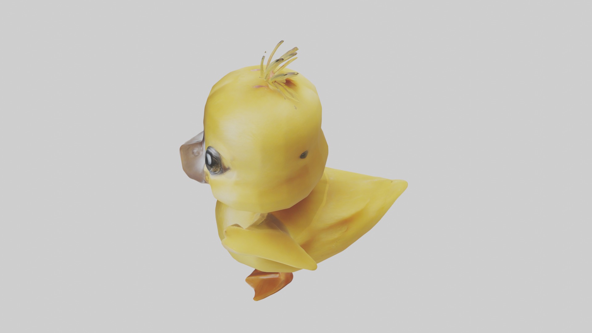 Duckling Model 1 Low-poly 3D model_11