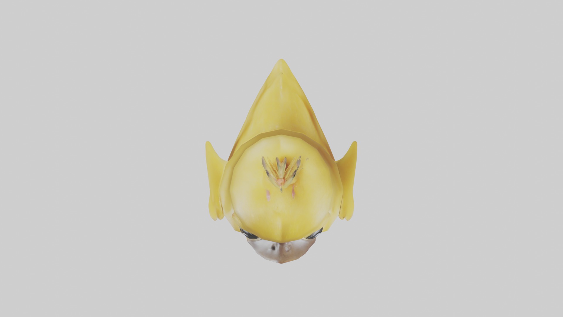 Duckling Model 1 Low-poly 3D model_8
