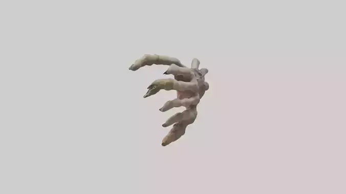 Decayedhand Model 1