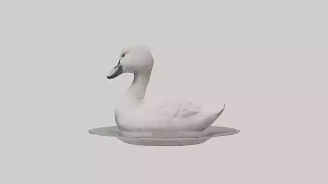 Cygnet Model 1 Low-poly 3D model