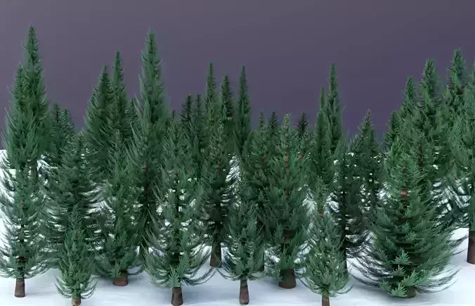 Pine Tree Pack
