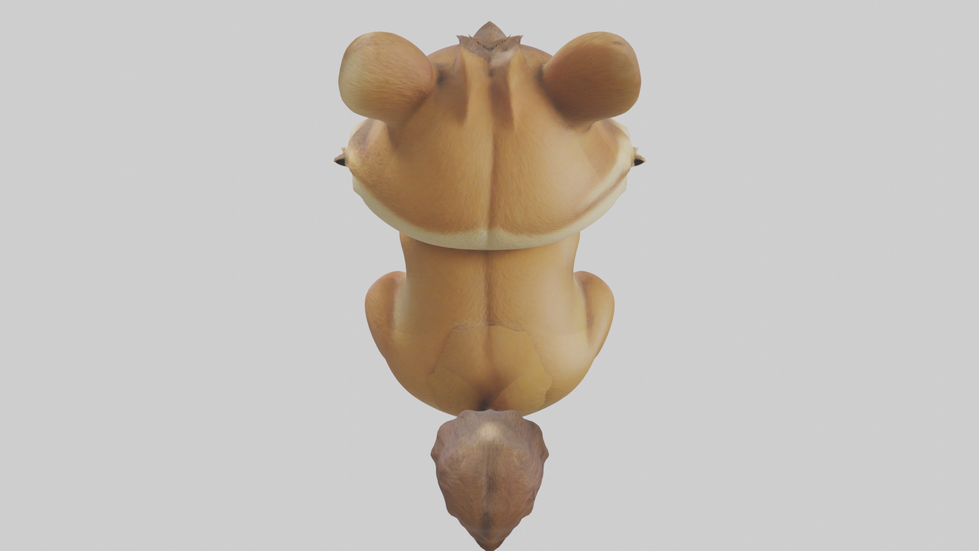 Chipmunk Model 1 Low-poly 3D model_9