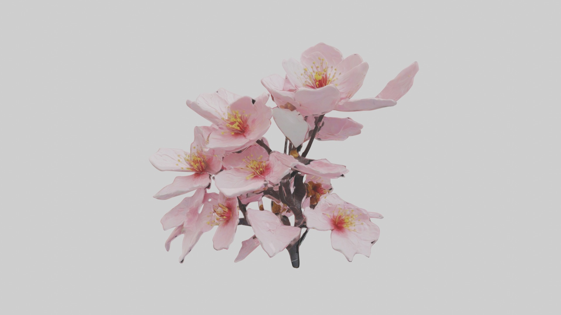 Cherry Blossom Flower 1 Low-poly 3D model_3