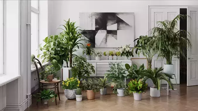 Archmodels vol 282 - collection of pot plants 3D model