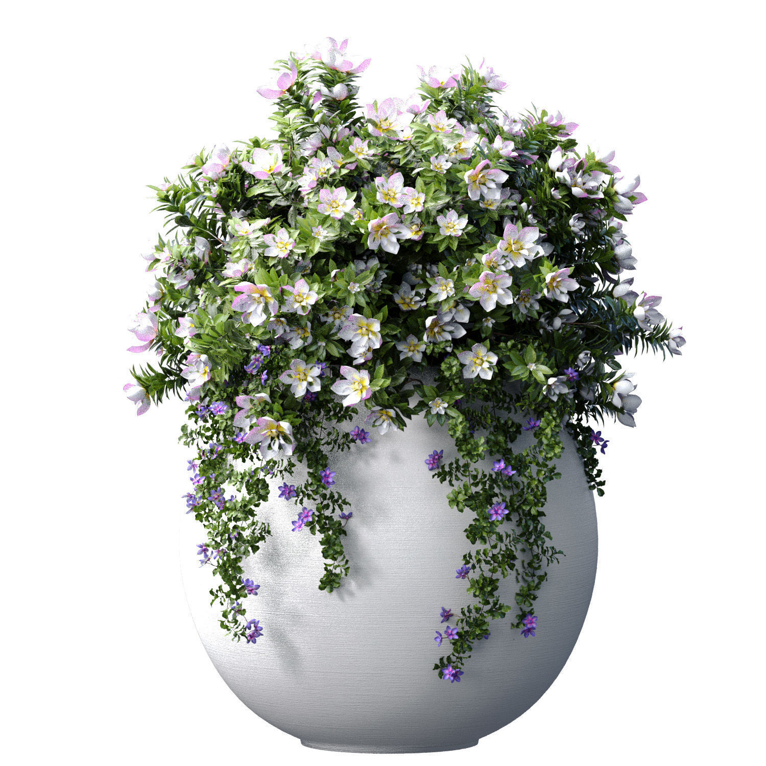 Flowerbeds Petunia flowers in classic garden pots 3D model_1
