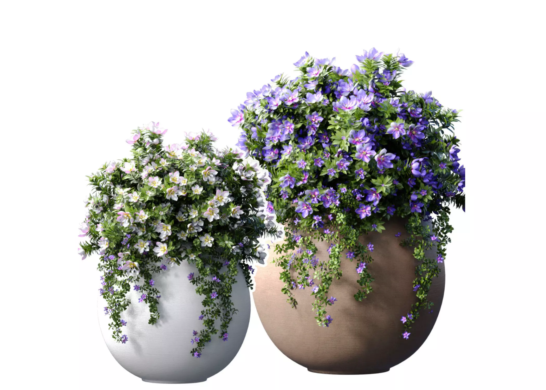 Flowerbeds Petunia flowers in classic garden pots 3D model_0