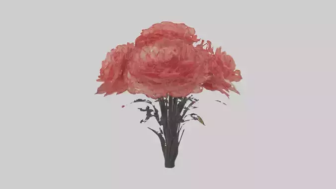 Carnation Flowers Mod 1