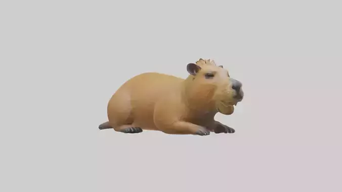 Capybara Model 1