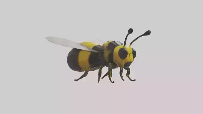 Bumblebee Model 1 Low-poly 3D model