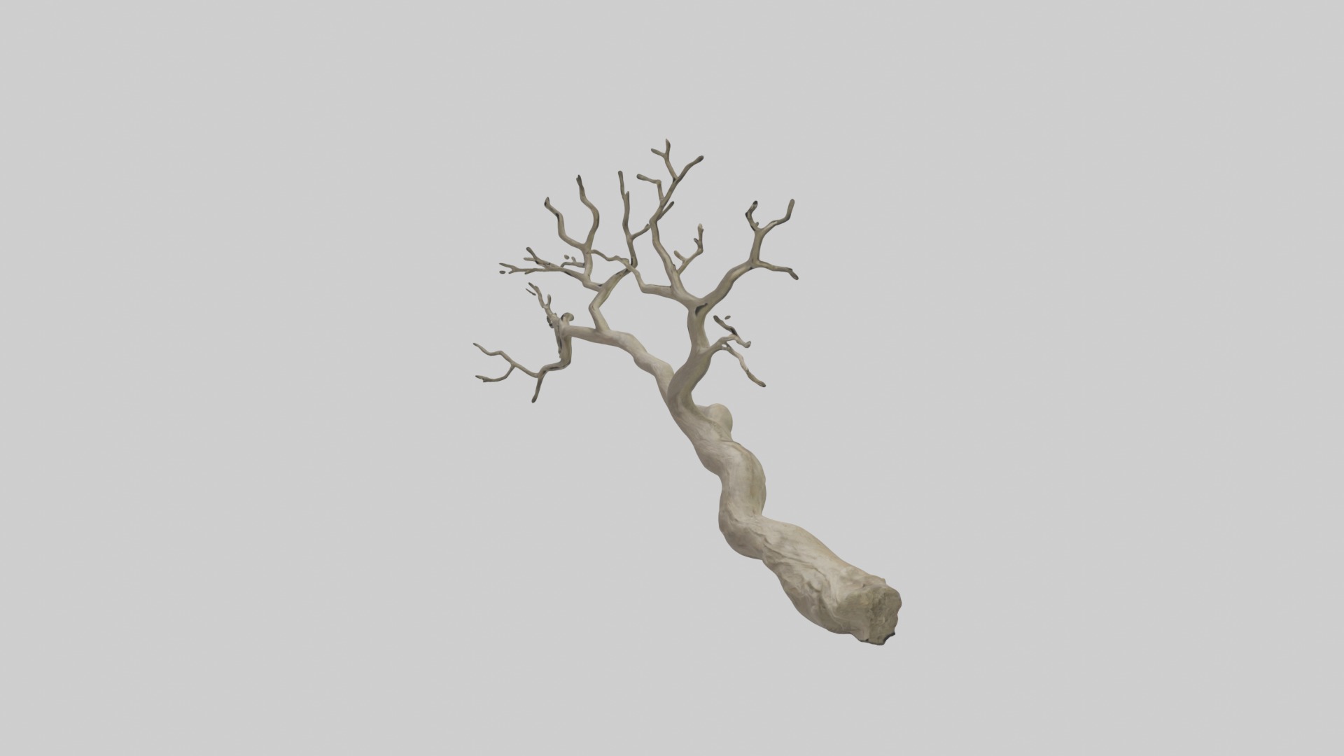 Branch Model 1 Low-poly 3D model_4