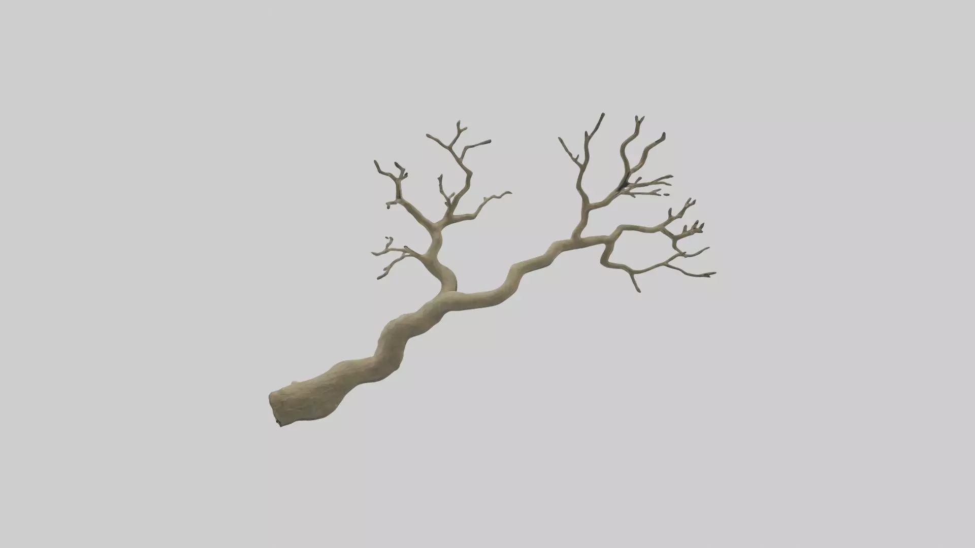 Branch Model 1 Low-poly 3D model_0