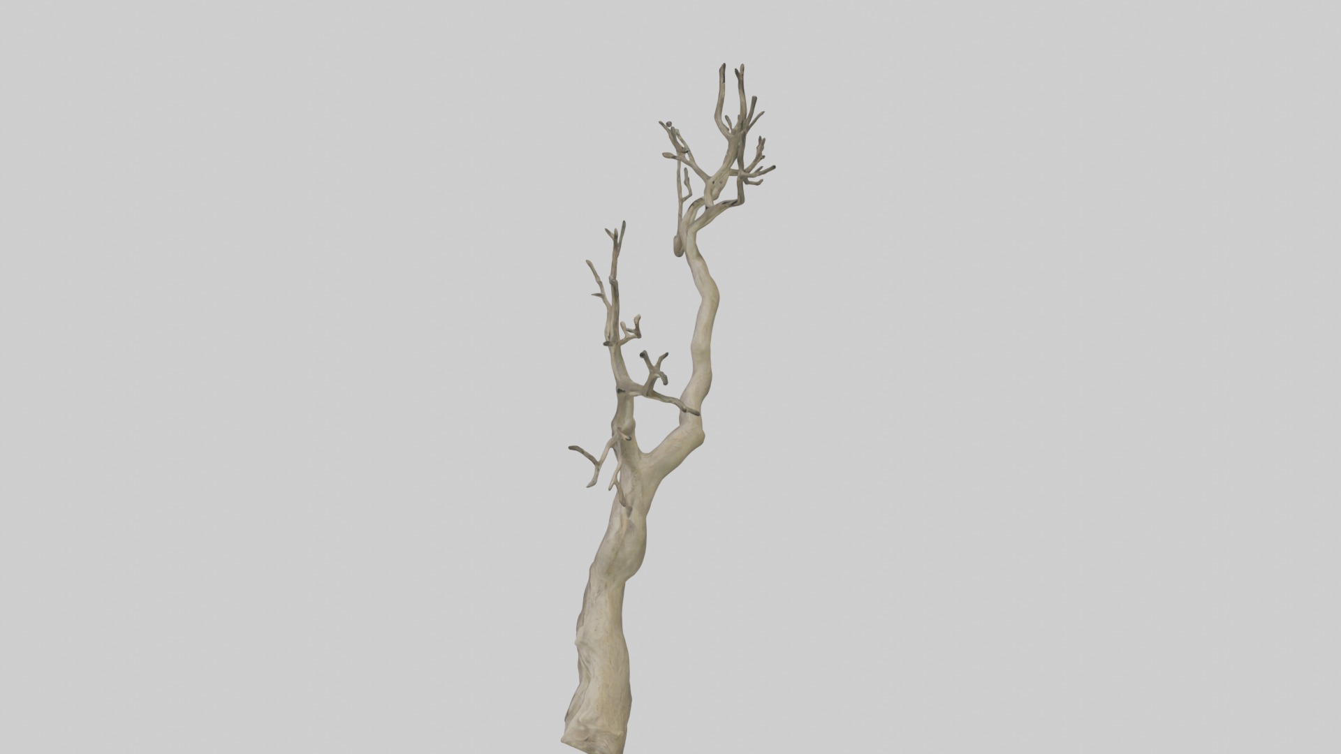 Branch Model 1 Low-poly 3D model_11
