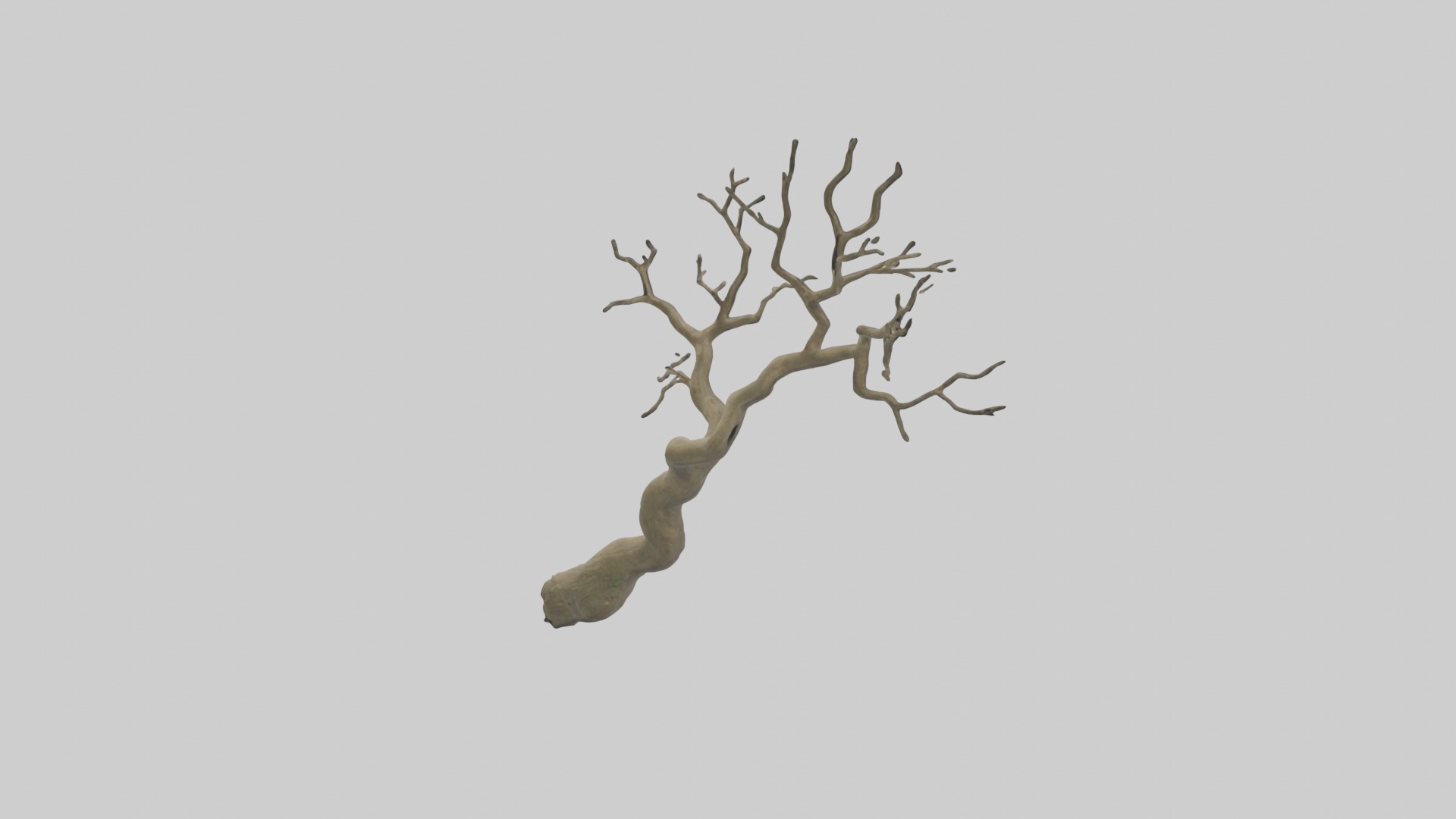 Branch Model 1 Low-poly 3D model_2