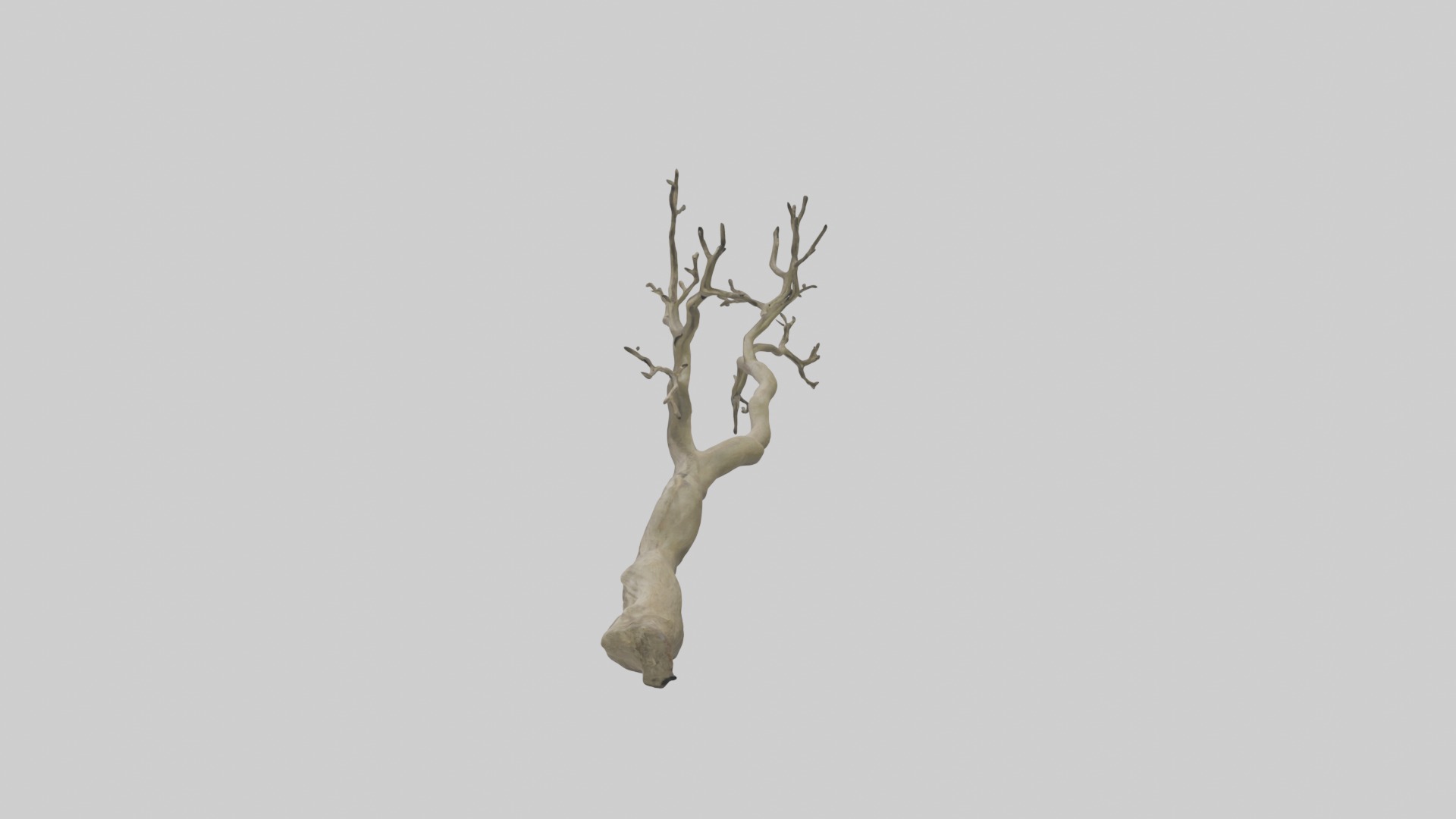 Branch Model 1 Low-poly 3D model_6