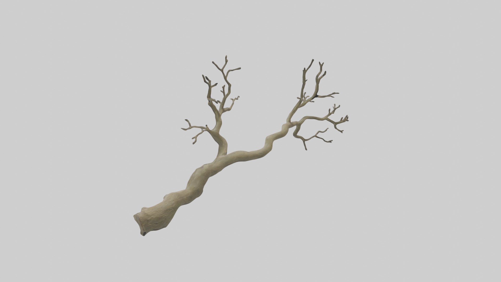Branch Model 1 Low-poly 3D model_1