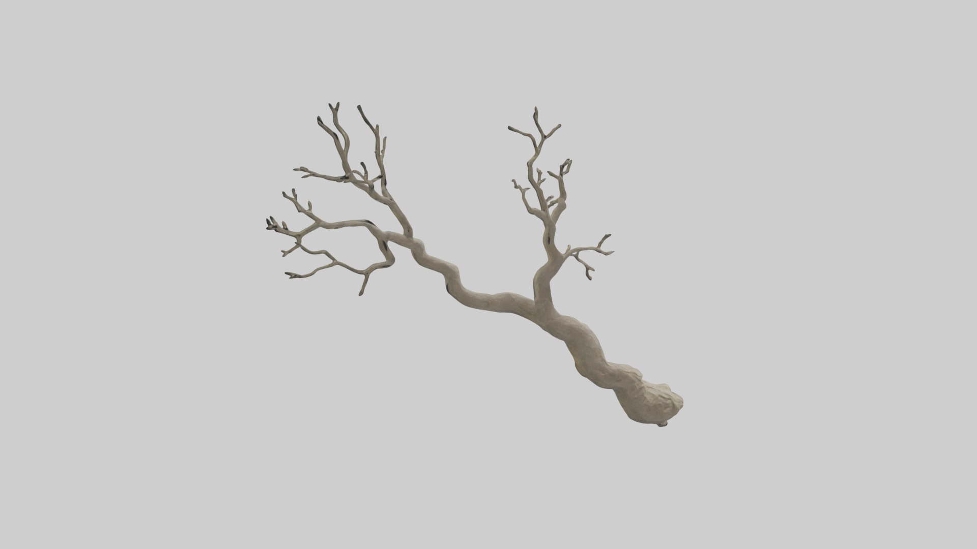 Branch Model 1 Low-poly 3D model_5