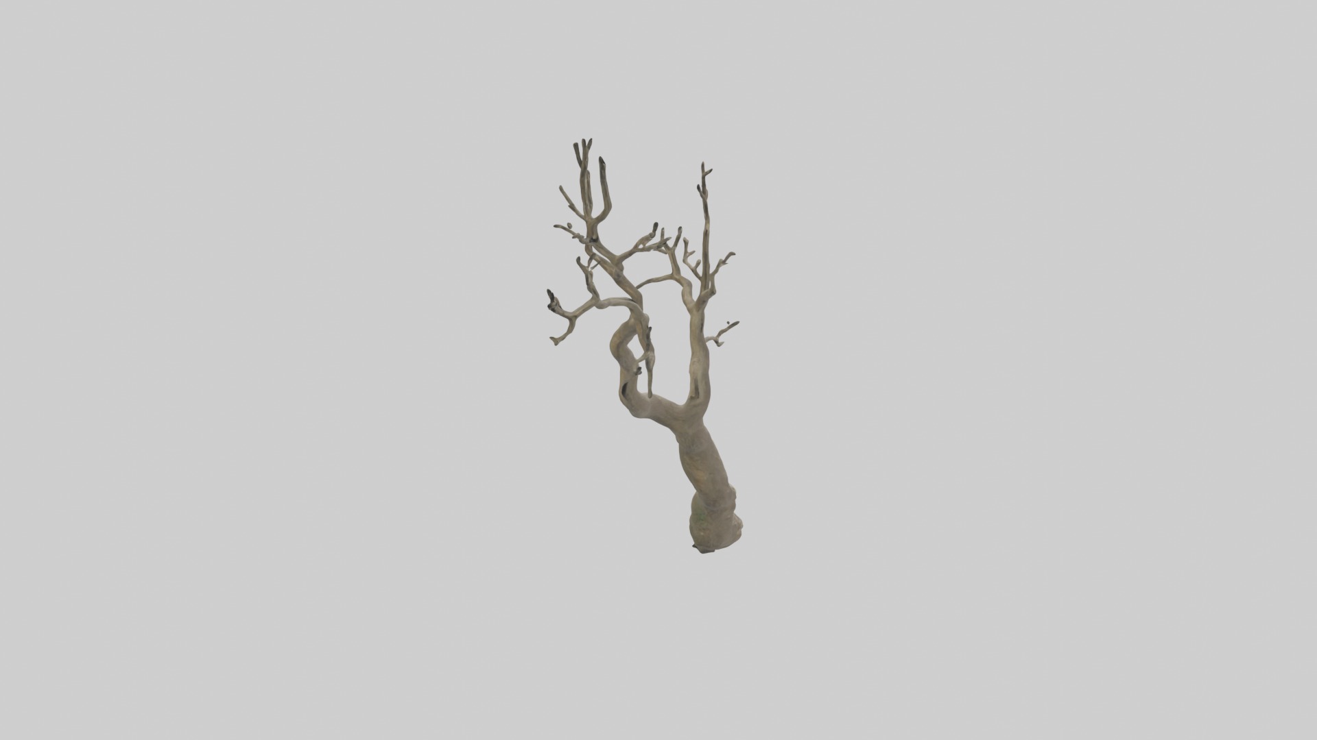 Branch Model 1 Low-poly 3D model_7