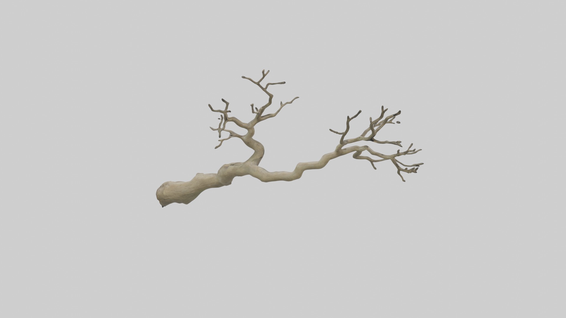 Branch Model 1 Low-poly 3D model_9