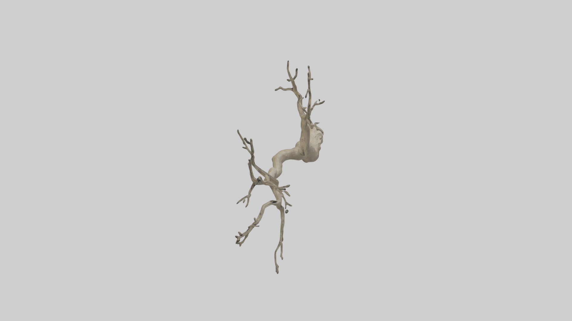 Branch Model 1 Low-poly 3D model_12