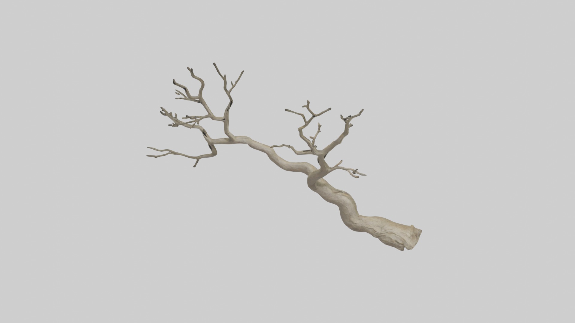 Branch Model 1 Low-poly 3D model_10