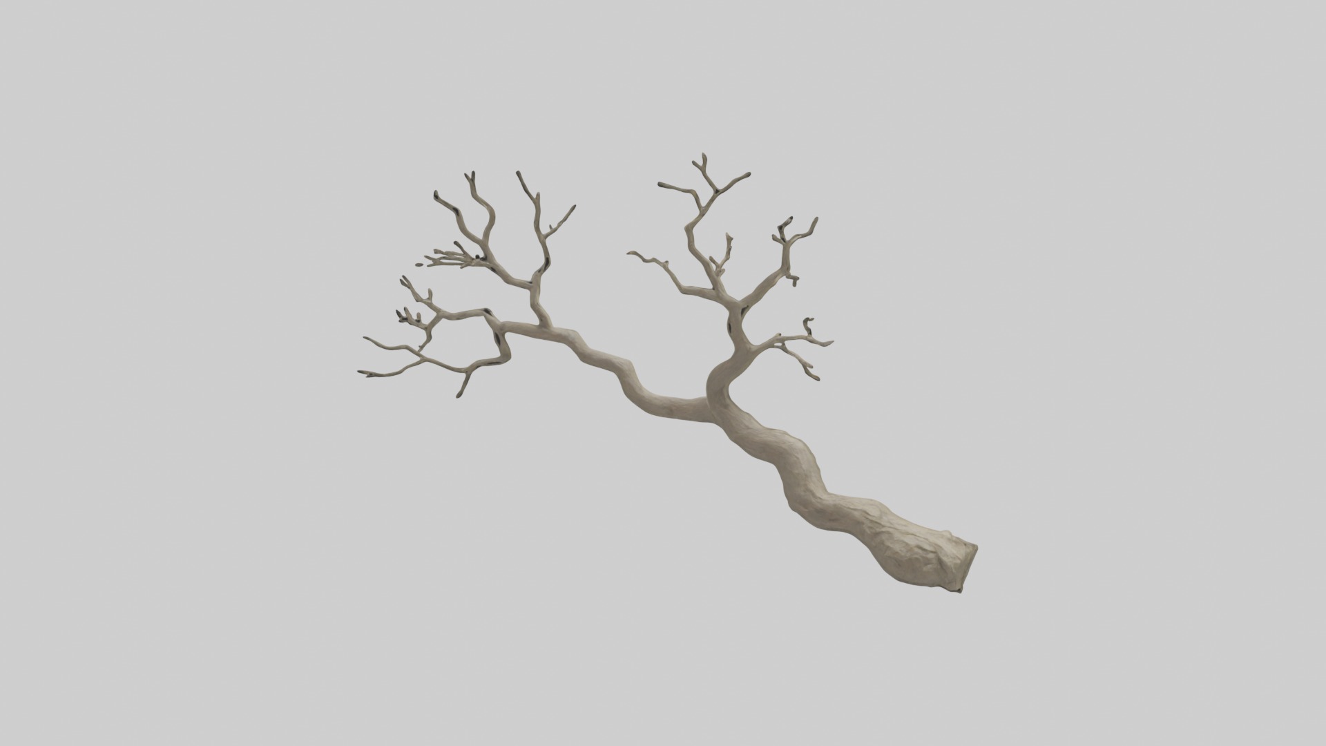 Branch Model 1 Low-poly 3D model_3