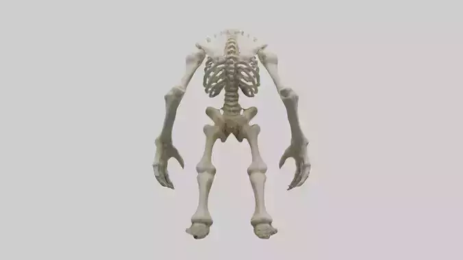 Bone Giant Model 1