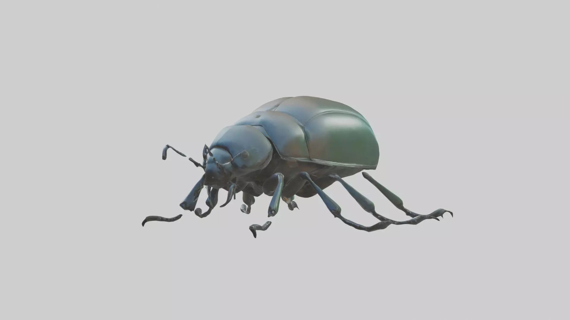 Beetle Model 1 Low-poly 3D model_0