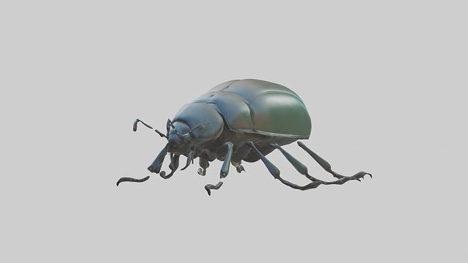 Beetle Model 1 Low-poly 3D model