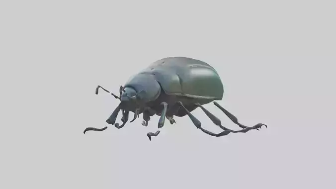 Beetle Model 1