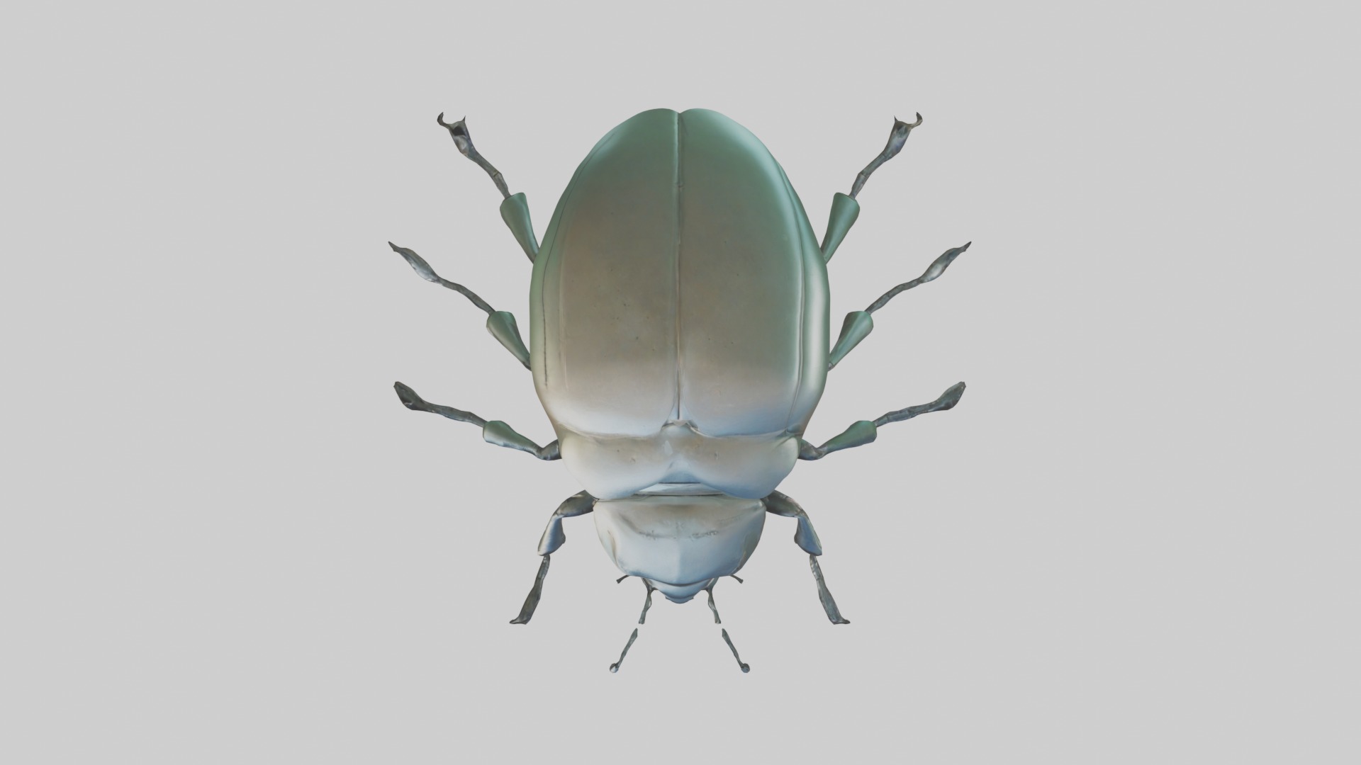 Beetle Model 1 Low-poly 3D model_8