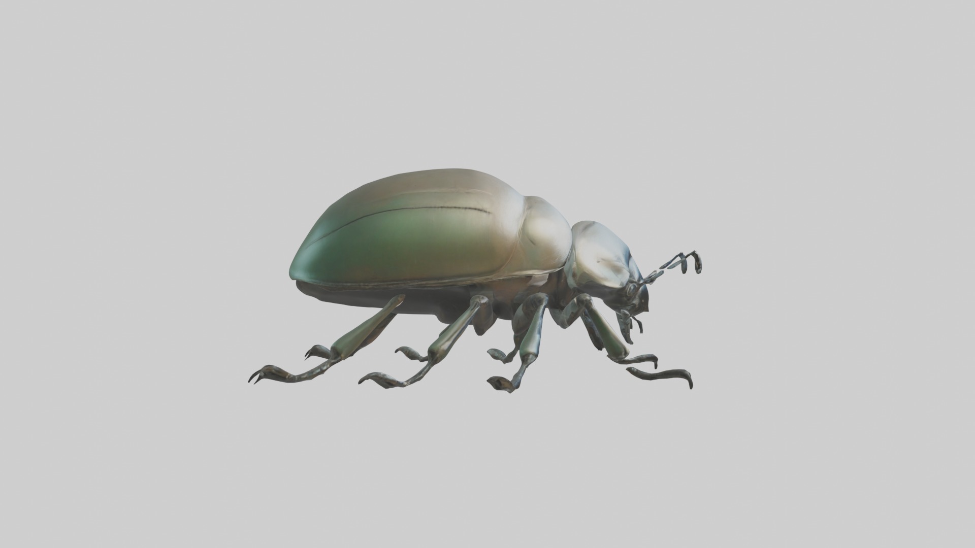 Beetle Model 1 Low-poly 3D model_7