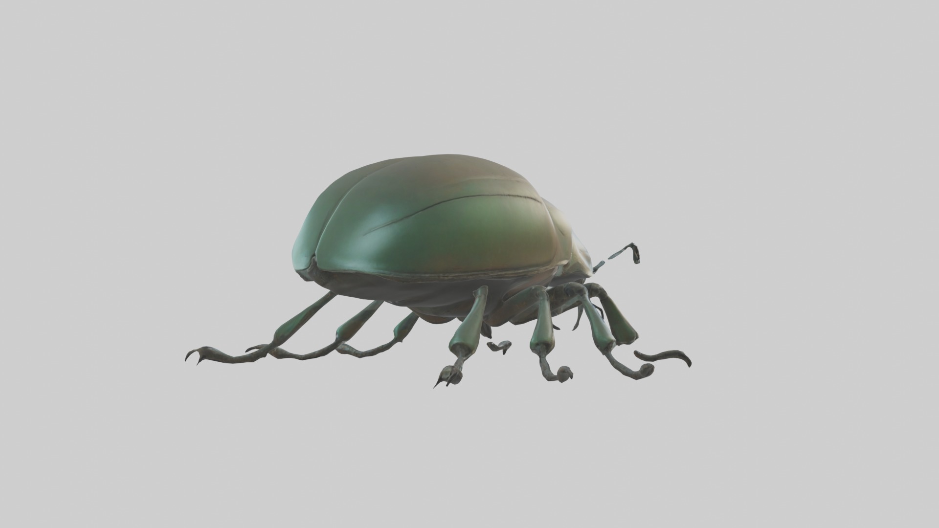 Beetle Model 1 Low-poly 3D model_3