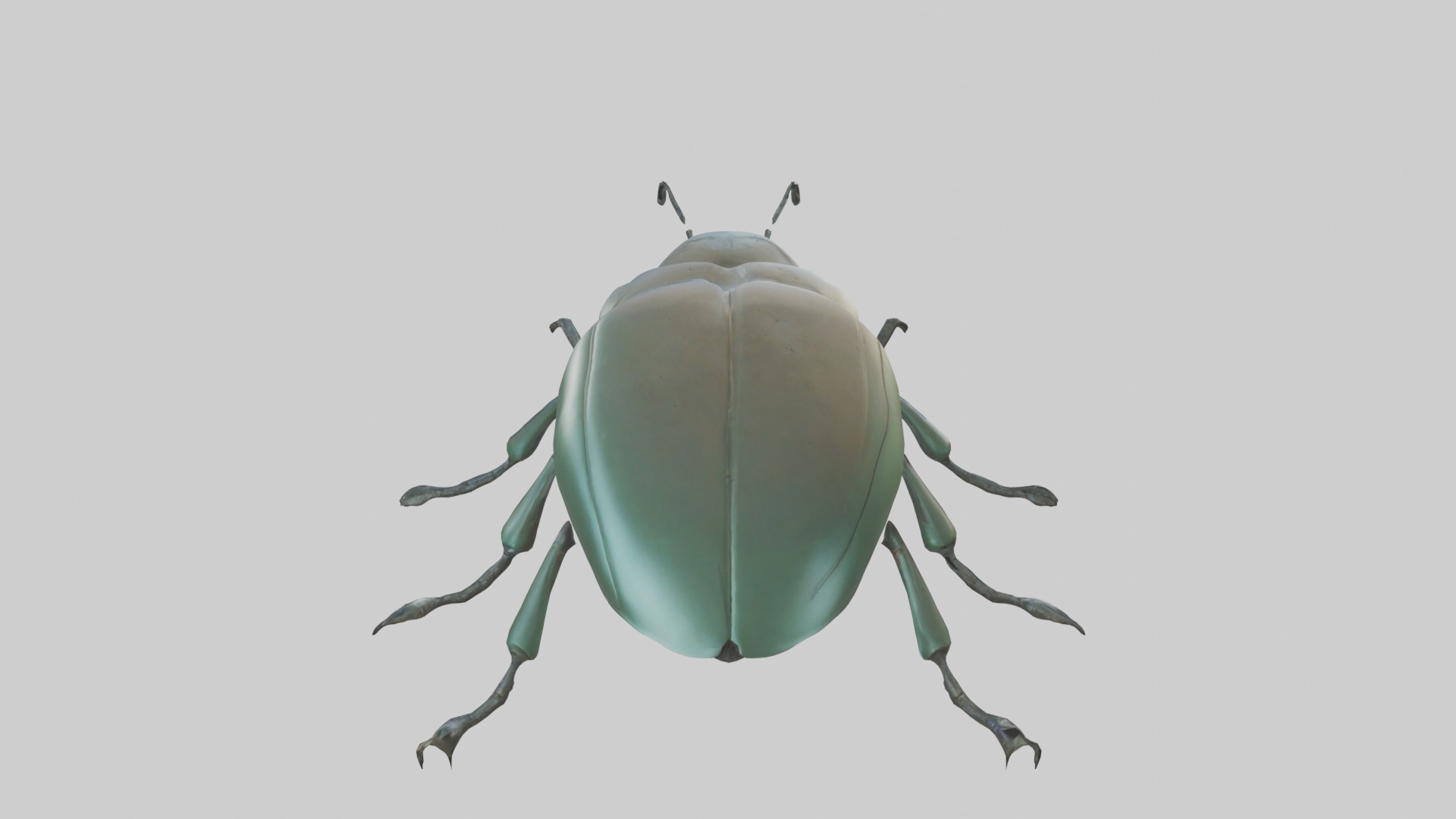 Beetle Model 1 Low-poly 3D model_9